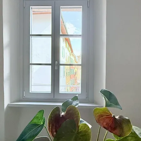Palazzo Riccamboni-3